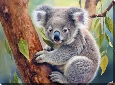 Картина маслом Коала №48