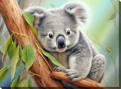 Картина маслом Коала №51