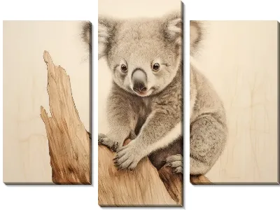 Модульная картина Коала №55