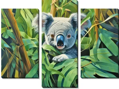 Модульная картина Коала №65