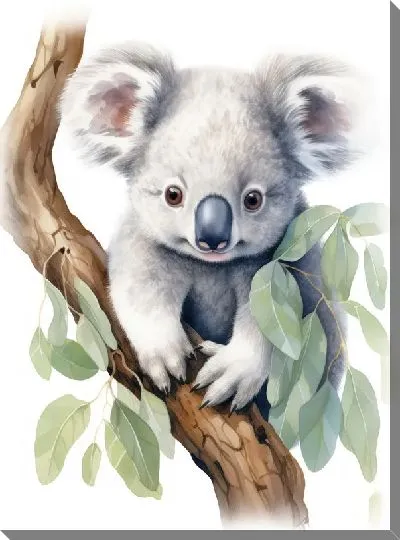 Постер Коала №69