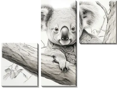 Модульная картина Коала №72