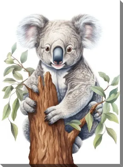 Постер Коала №81