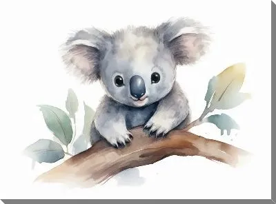 Постер Коала №115