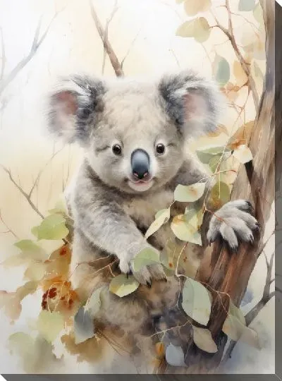 Постер Коала №116