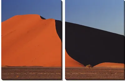 Модульная картина Пустыня
