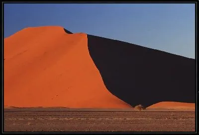 Картина Пустыня