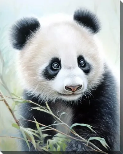 Картина маслом Панда №62