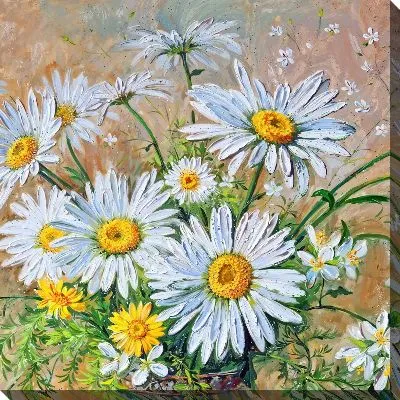 Картина маслом Ромашки №215
