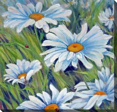 Картина маслом Ромашки №221