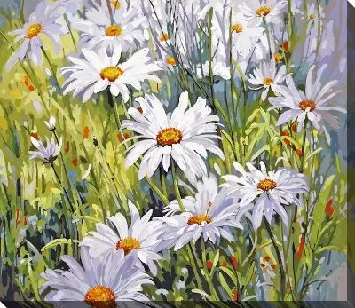 Картина маслом Ромашки №223
