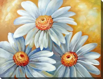 Картина маслом Ромашки №224
