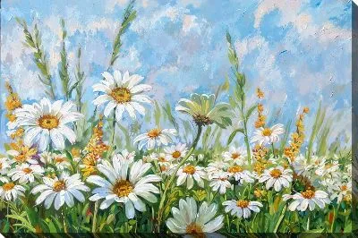 Картина маслом Ромашки №228
