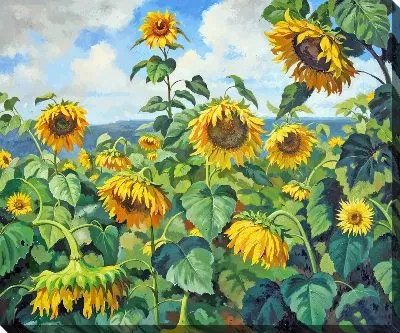 Картина маслом Подсолнухи №2531