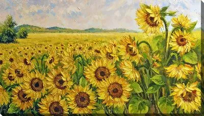 Картина маслом Подсолнухи №2541