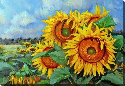 Картина маслом Подсолнухи №256