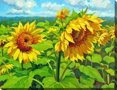 Картина маслом Подсолнухи №2611