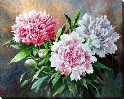 Картина маслом Пионы №270