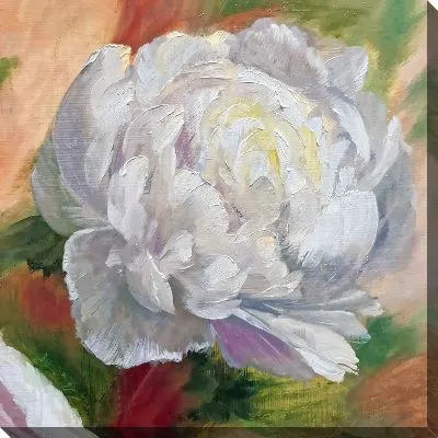 Картина маслом Пионы №279