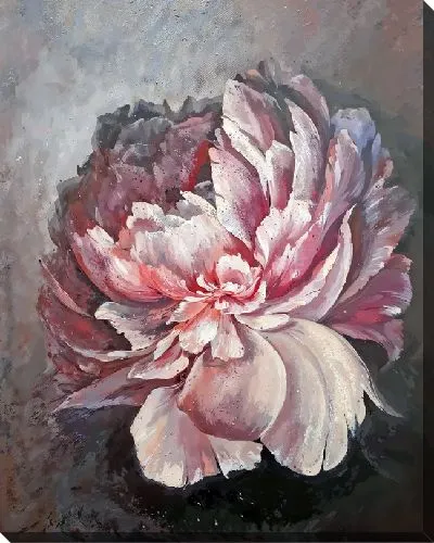 Картина маслом Пионы №283