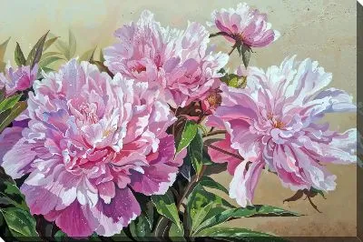 Картина маслом Пионы №286
