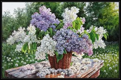 Картина Сирень №108