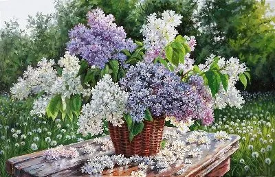 Плакат Сирень №108