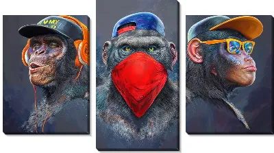 Разносторонние обезьяны