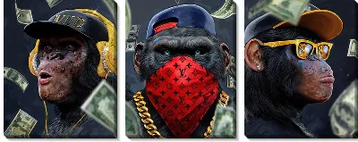 Модульная картина Богатые обезьяны