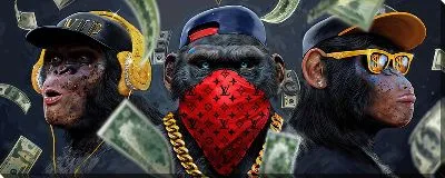 Постер Богатые обезьяны