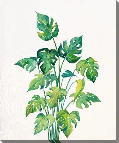 Картина маслом Тропические листья монстеры №34