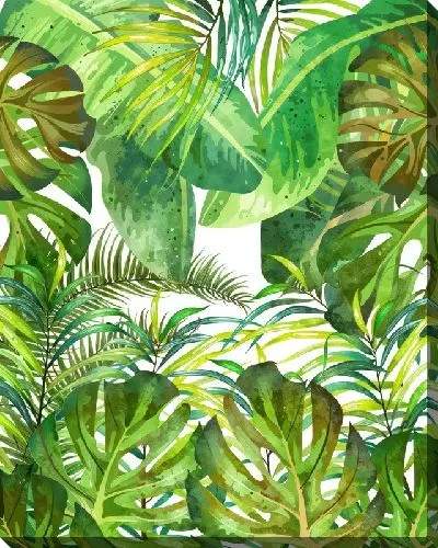 Постер Тропические листья монстеры №42
