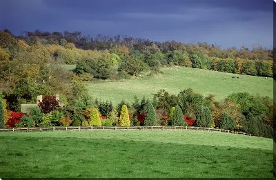 картина