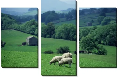 Модульная картина Овечки на пастбище