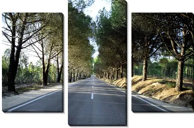 Модульная картина Дорога №7