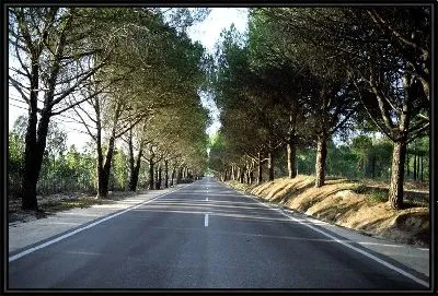 Картина Дорога №7