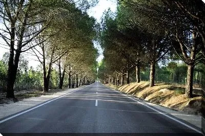 Постер Дорога №7