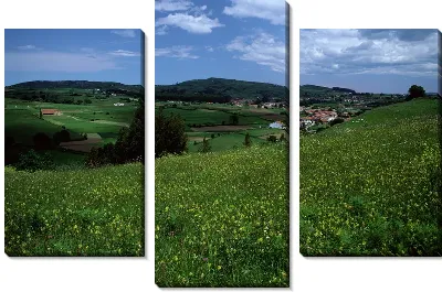 картина