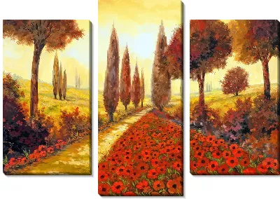 Модульная картина Полевые маки в Тоскане
