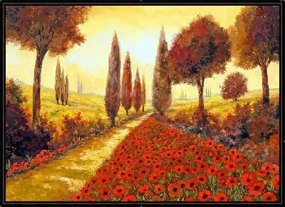 Картина Полевые маки в Тоскане