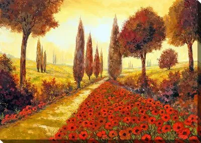 Постер Полевые маки в Тоскане