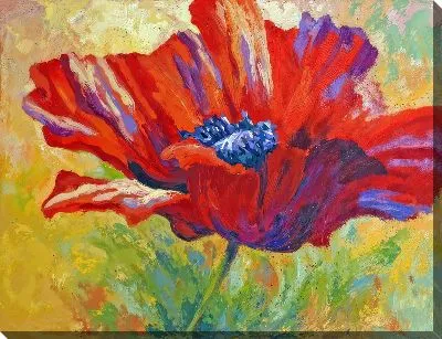 Картина маслом Мак №107