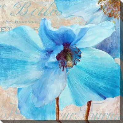 Картина маслом Маки №114