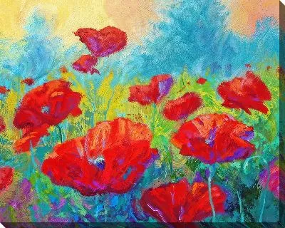 Картина маслом Маки №116