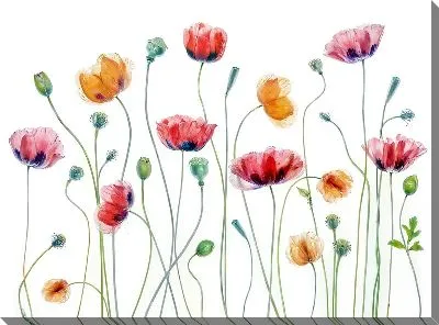 Картина маслом Маки №117