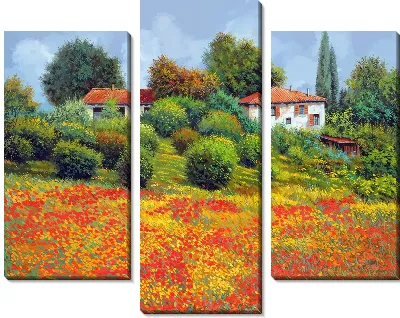 Модульная картина Полевые маки в Тоскане №5