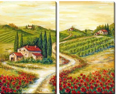 Модульная картина Полевые маки в Тоскане №6