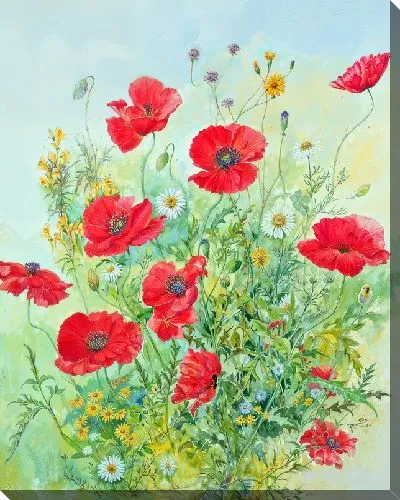 Картина маслом Маки №120