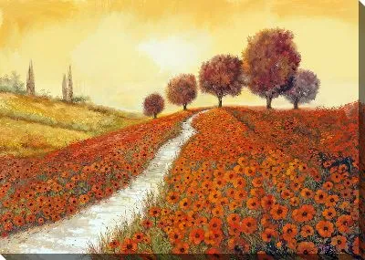 Постер Полевые маки в Тоскане №7