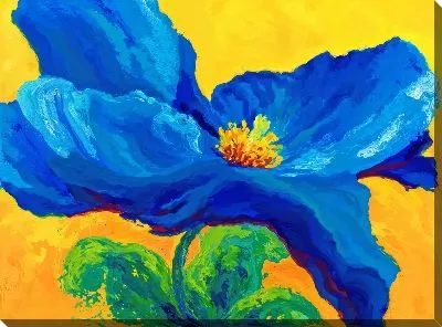 Картина маслом Мак №125